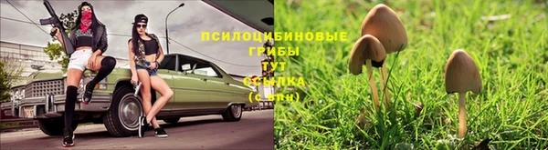 герыч Абинск