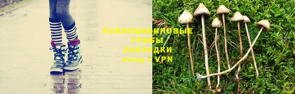 мдпв Абаза