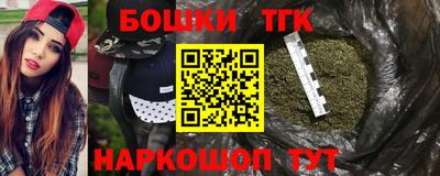индика Новозыбков