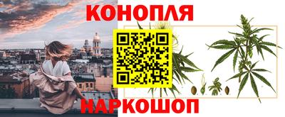 индика Новозыбков