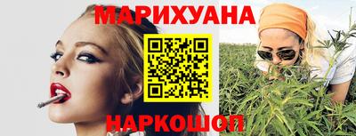 индика Новозыбков
