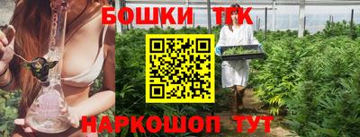 индика Новозыбков