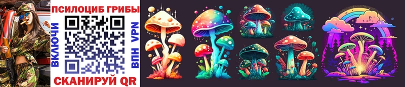 Галлюциногенные грибы Magic Shrooms omg маркетплейс Шали дарнет шоп